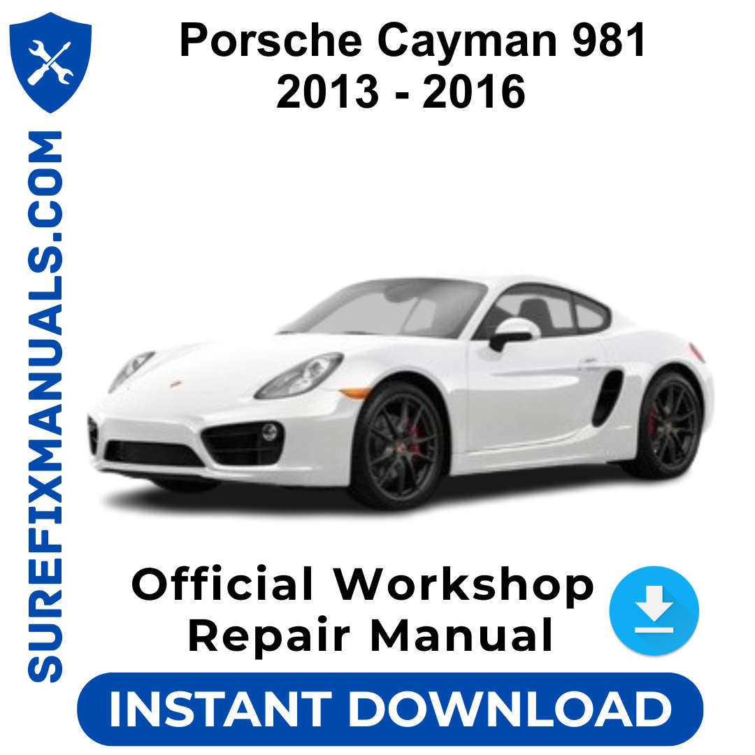 Porsche Cayman 981 2013 - 2016 Official Workshop Repair Manual